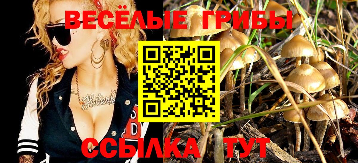 Псилоцибиновые грибы ЛСД Новочебоксарск
