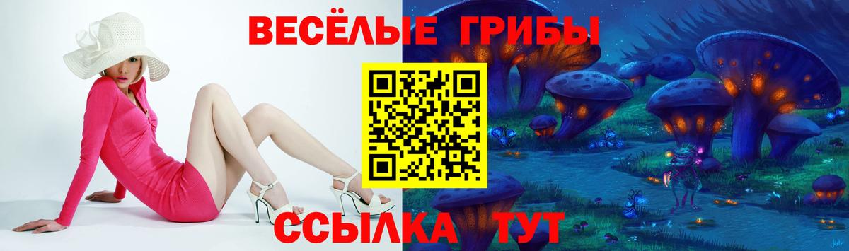 Новочебоксарск  Галлюциногенные грибы Psilocybe  Галлюциногенные грибы ЛСД  Вход с VPN 